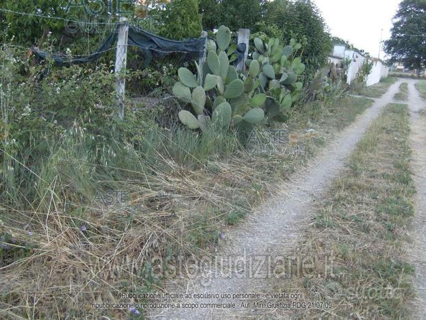 Terreno Agricolo Nettuno [A4285693]