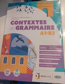CONTEXTES DE GRAMMAIRE A1 B2