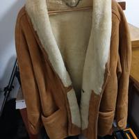 Montone Pierre Cardin