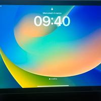 iPad Air (5° Generazione)