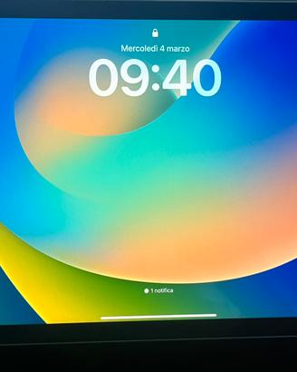 iPad Air (5° Generazione)