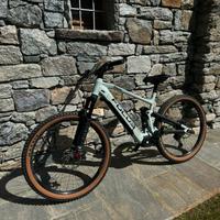 E-bike focus