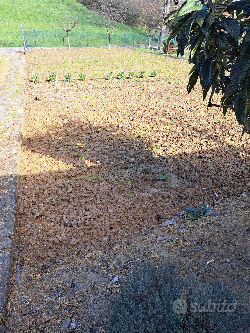Terreno orto - Vista 2