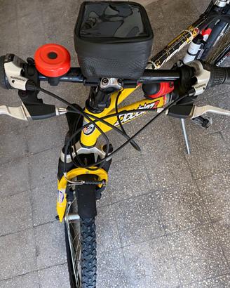biciclette