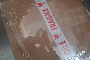 CBR 900 RR Fireblade 