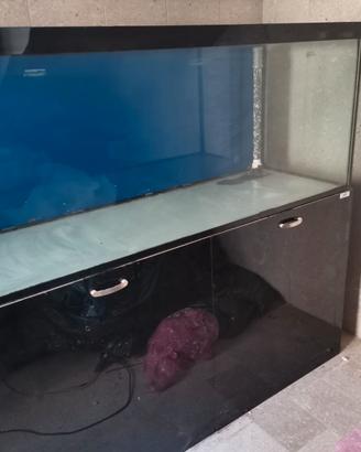 Acquario 150cm (475 litri) + Sump + Mobile zincato