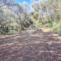 TER. RESIDENZIALE A TERNI