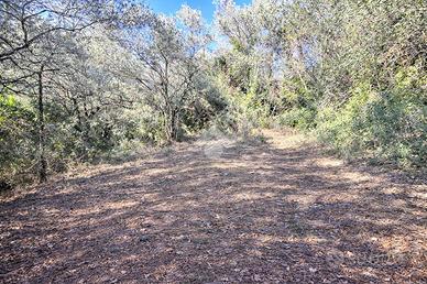 TER. RESIDENZIALE A TERNI