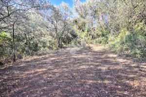 TER. RESIDENZIALE A TERNI