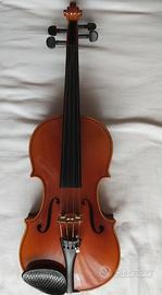 Violino con custodia