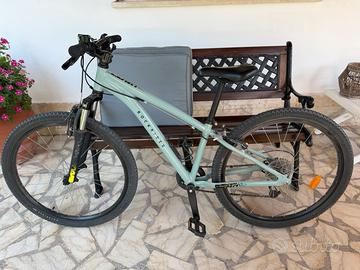 Mountain bike