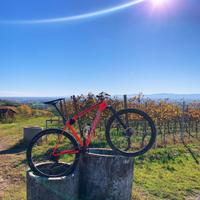 Cannondale fsi