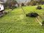 Immagine 20