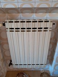 5 Termosifoni in alluminio 