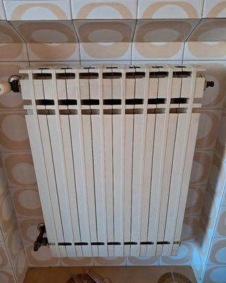 5 Termosifoni in alluminio 