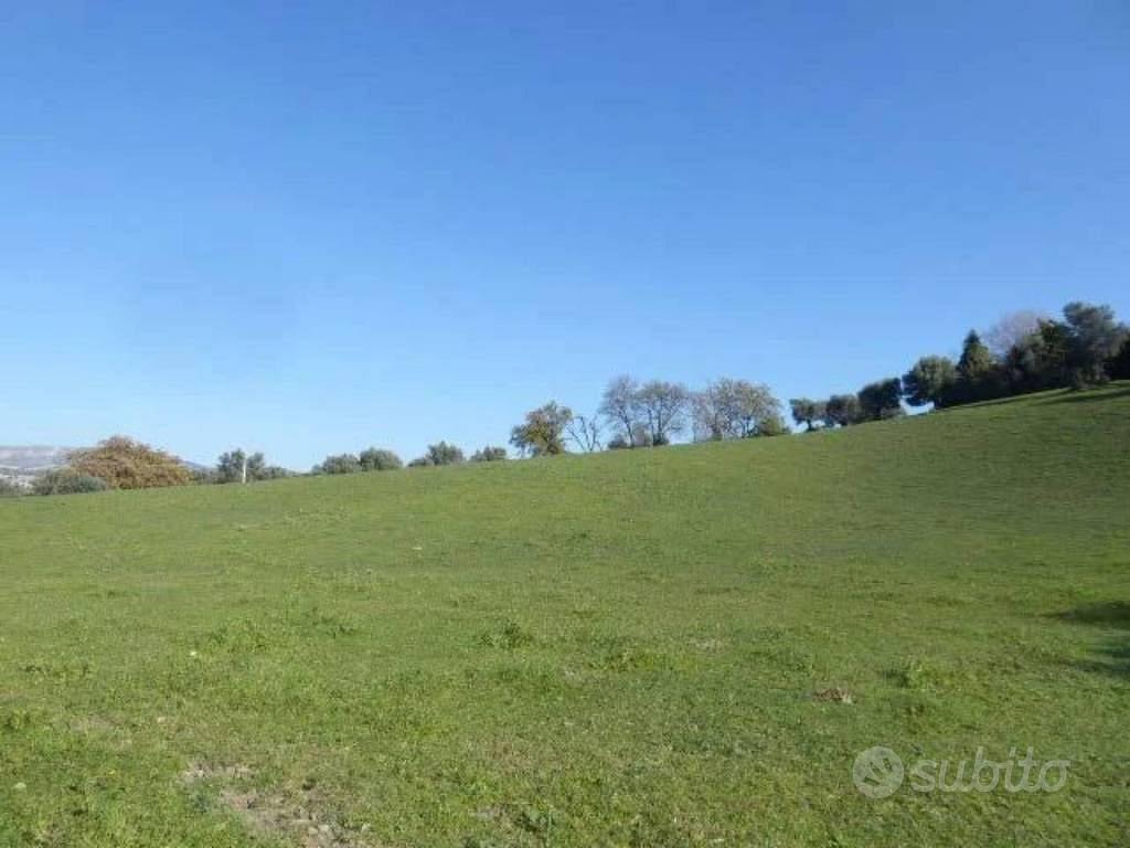 Immobile in asta di 6430 m² a Casignana - Vista 3