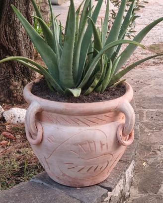 vase e anfore 