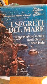 Enciclopedie illustrate su bellezze narurali ed an