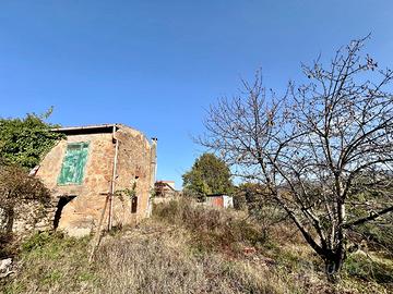 POLI: RUSTICO BIFAMILIARE CON TERRENO