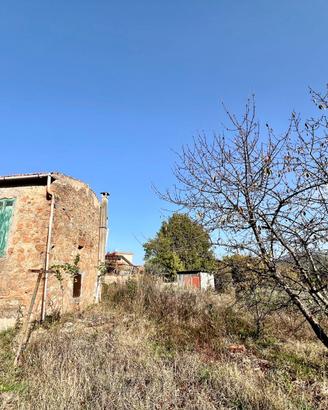 POLI: RUSTICO BIFAMILIARE CON TERRENO