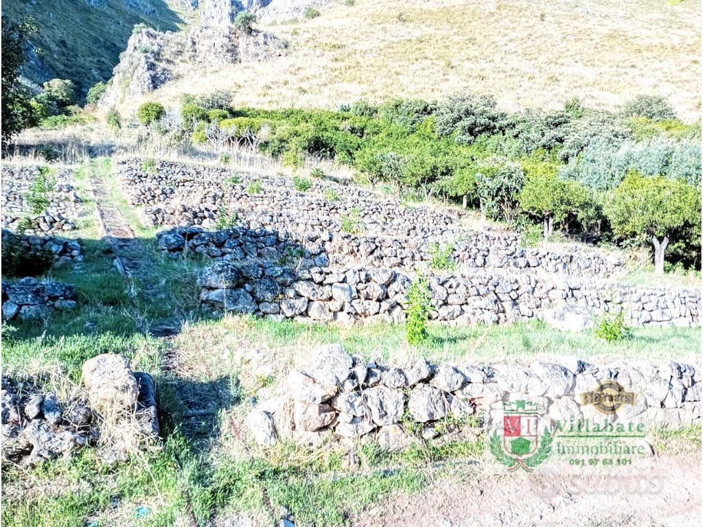 Terreno Agricolo di mq 450 Conca D'Oro - Vista 3