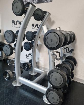 Set manubri Technogym + rastrelliera
