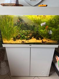 Acquario juwel rio 125 led