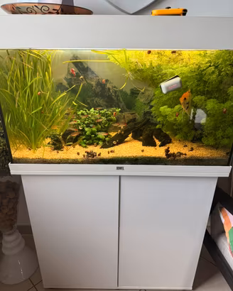 Acquario juwel rio 125 led