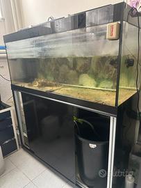 Acquario marino
