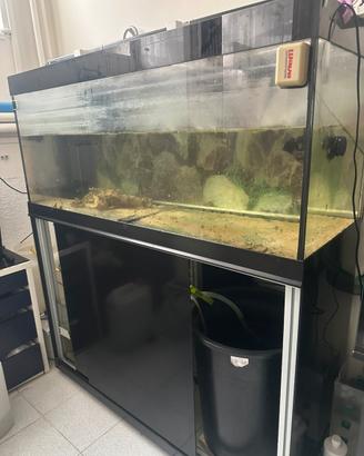 Acquario marino