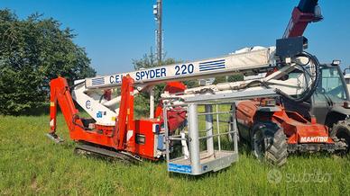 Piattaforma aerea ragno