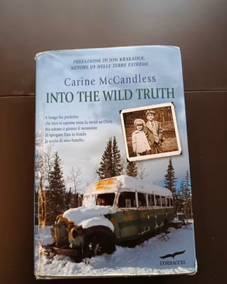 Into the Wild 