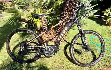 Mountain Bike Elettrica