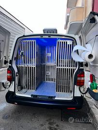 Furgone trasporto animali