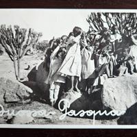 Cartolina auguri Buona Pasqua dalle colonie 1940 