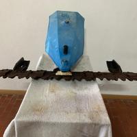 BCS Barra Falciante Erba