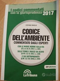 Codice dell'ambiente