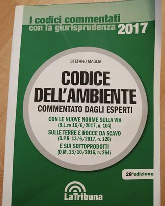 Codice dell'ambiente