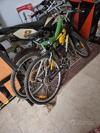  due biciclette da revisionare