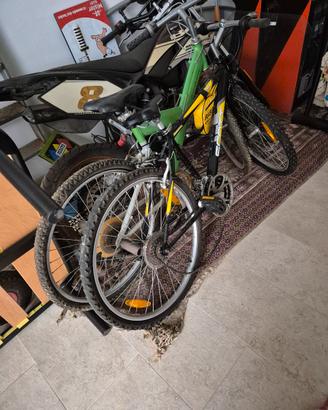  due biciclette da revisionare