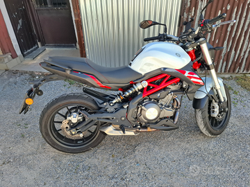Benelli bn 302 s 2020