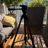 cavalletto BILORA Action line top 265