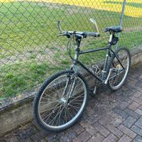 Marin Bear Valley 26” vintage