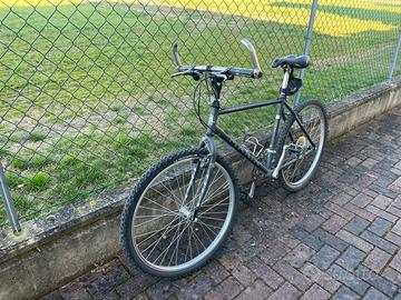 Marin Bear Valley 26” vintage