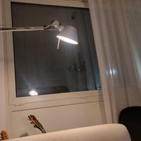 tolomeo Flos da terra