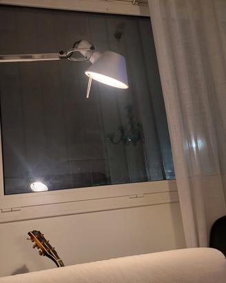 tolomeo Flos da terra