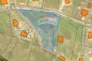 Terreno Edificabile - Nicolosi