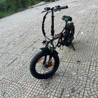 Bicicletta elettrica reset modello Redwood fat ann
