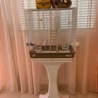 Gabbia per pappagallini.