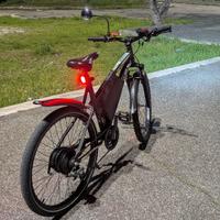 Bicicletta elettrica 700w